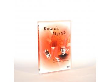 Barbara Pfister  Rose der Mystik!